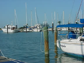 boats docked at Corpus Christi